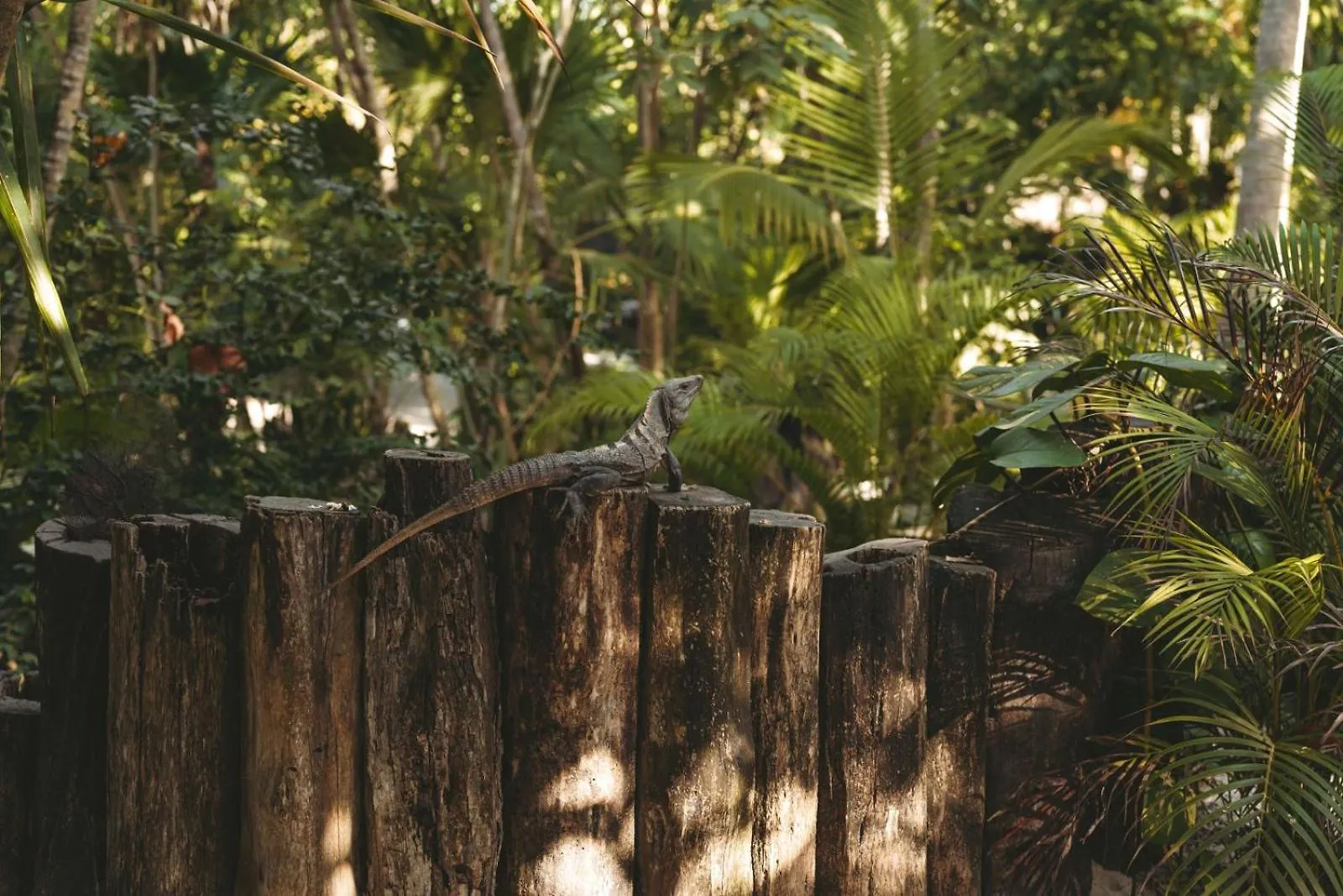 Sacred Hideaways Hotel Tulum
