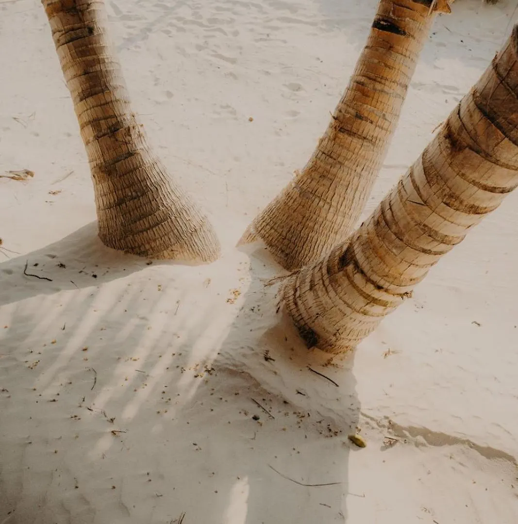 Sacred Hideaways Hotel Tulum