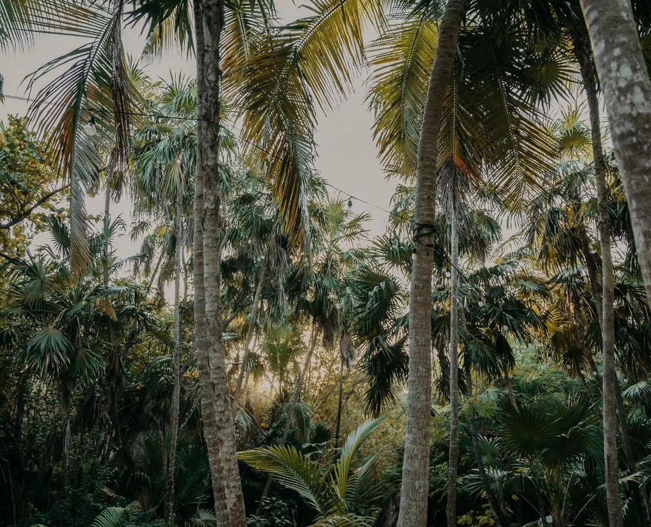 Sacred Hideaways Hotel Tulum